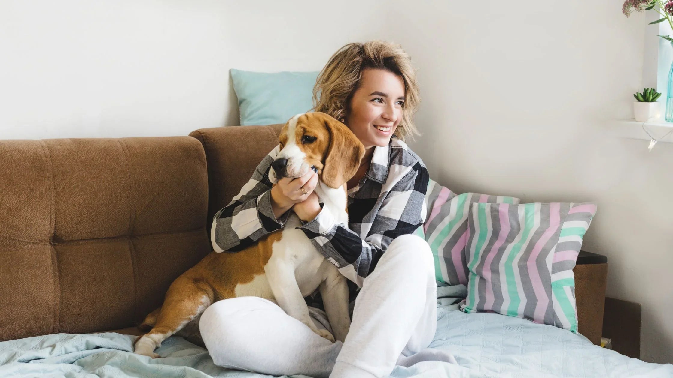 The Joy of Bringing Home a New Puppy Petbites Blog