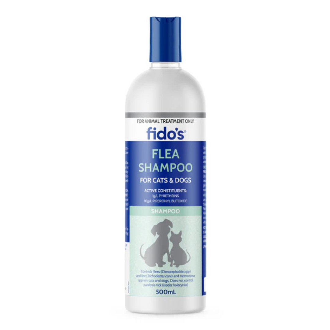 Olive Oil Flea Shampoo For Cat Bites photo