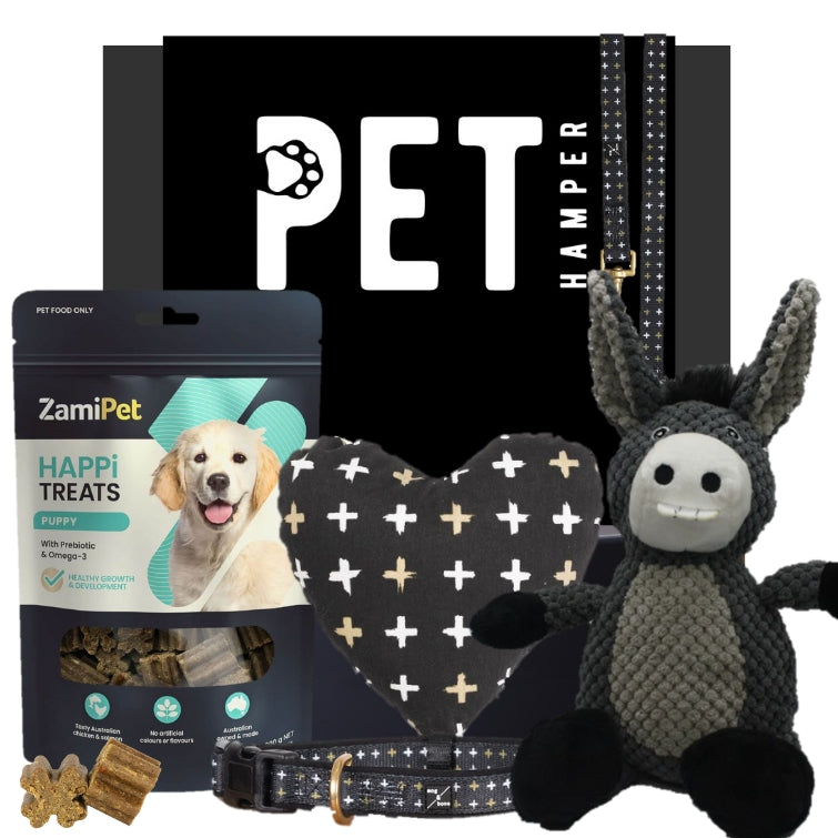 Welcome Your New Puppy with the New Puppy Bundle | Petbites – Pet Bites