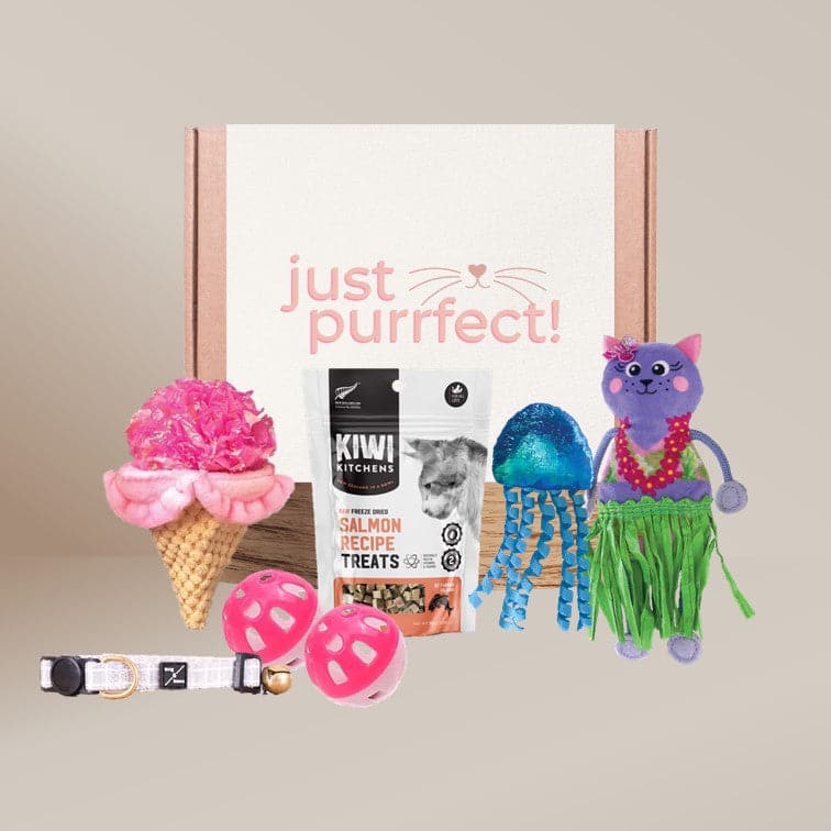 Buy Birthday Cat Hamper Petbites