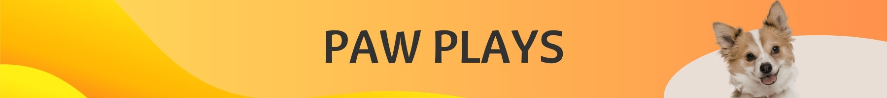 Paw Play | Fun & Interactive Toys for Dogs – Pet Bites