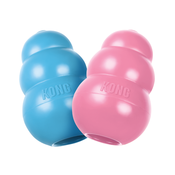 KONG PUPPY MEDIUM (KP2)