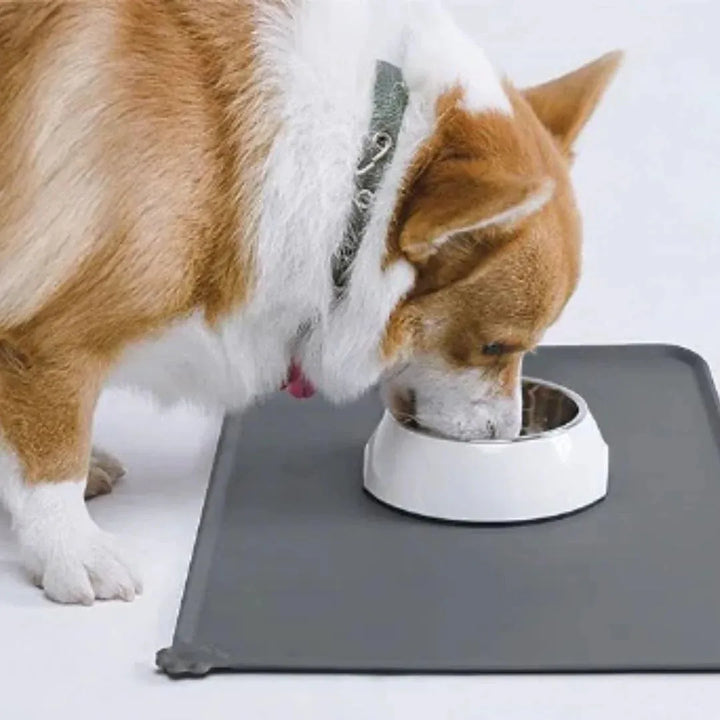 All Fur You Silicone Pet 