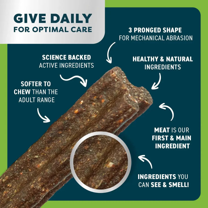 Bell Bone Senior Dental Sticks Chicken Mint Ginger LG intro