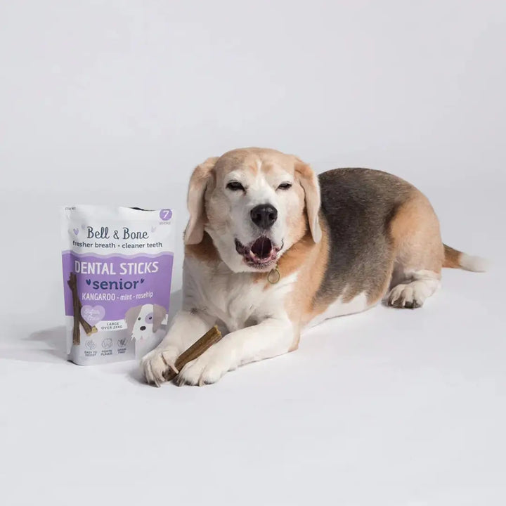 Bell Bone Senior Dental Sticks Roo Mint Rosehip LG 2