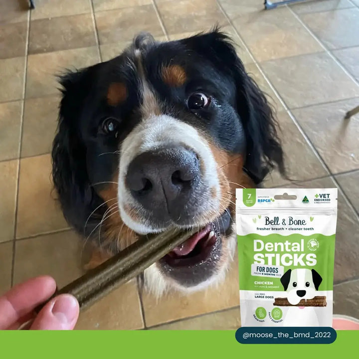 Bell & Bone Dog Dental Sticks Chicken Mint & Sea