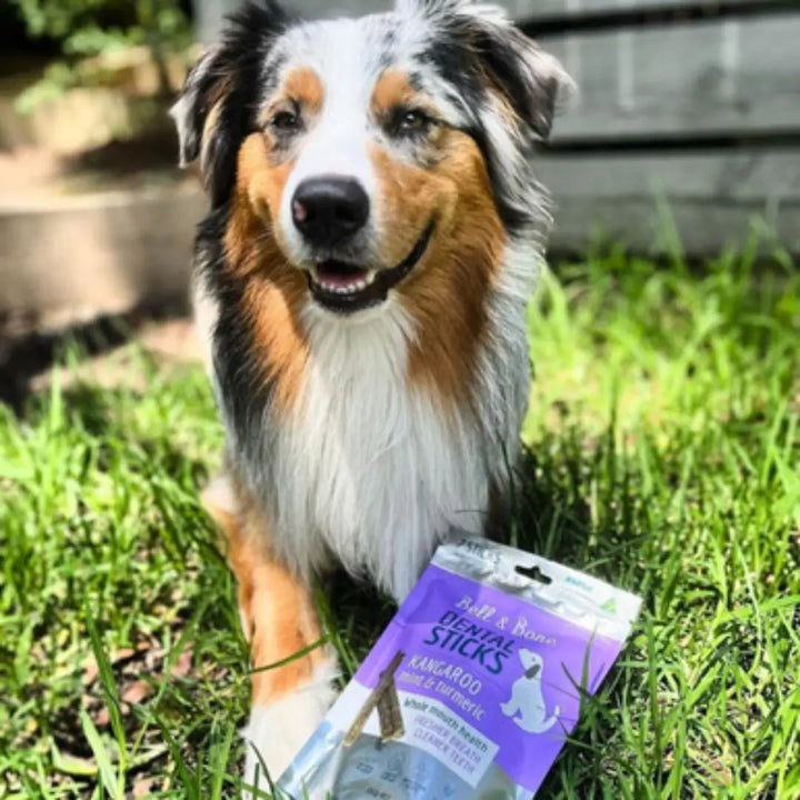 Bell & Bone Dog Dental Sticks Roo 