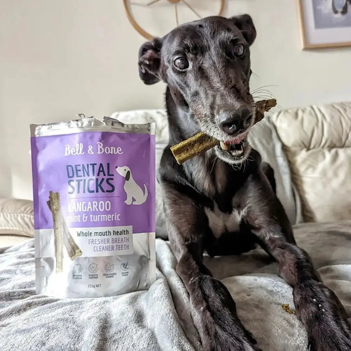 Bell & Bone Dog Dental Sticks Roo Mint & Turmeric 