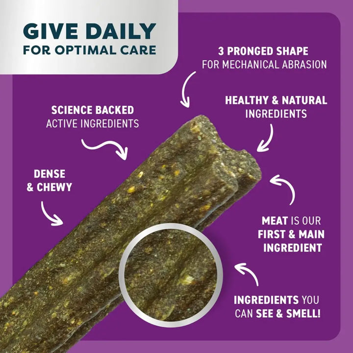 Bell & Bone Dog Dental Sticks Roo Mint & Turmeric SM intro