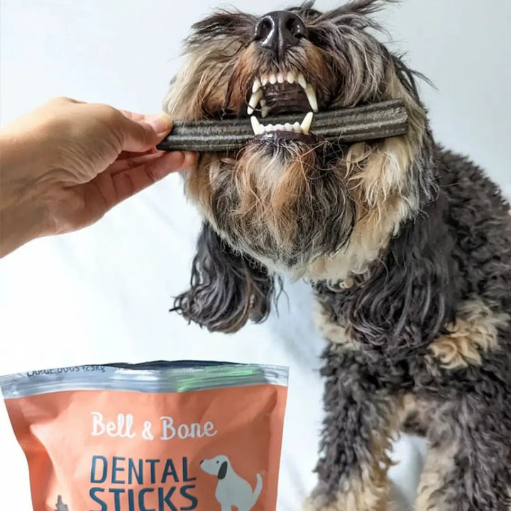 Bell & Bone Dog Dental Sticks Salmon Mint & Charcoal 