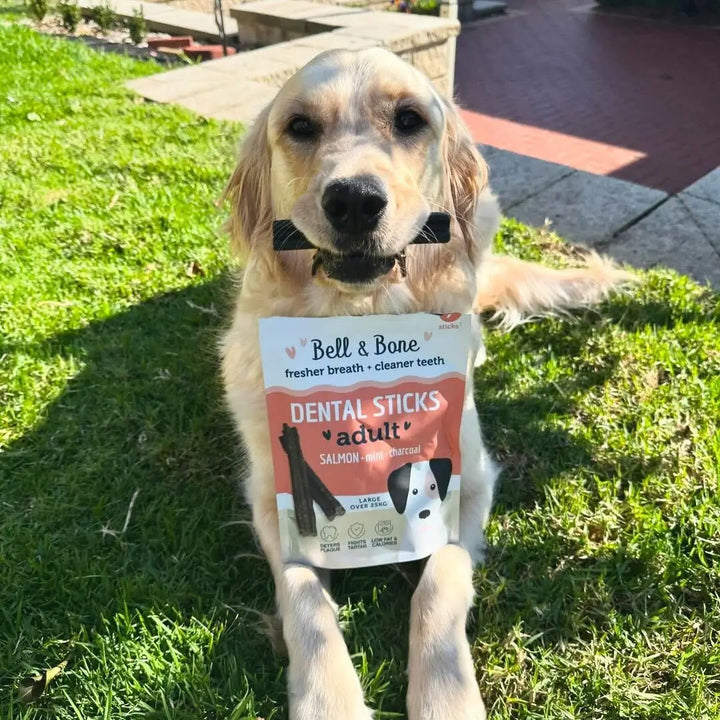 Bell & Bone Dog Dental Sticks Salmon Mint & Charcoa
