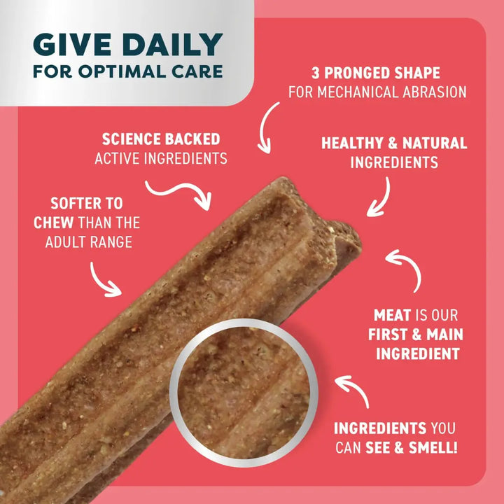 Bell & Bone Puppy Dental Chews Beef & Coconut SM intro