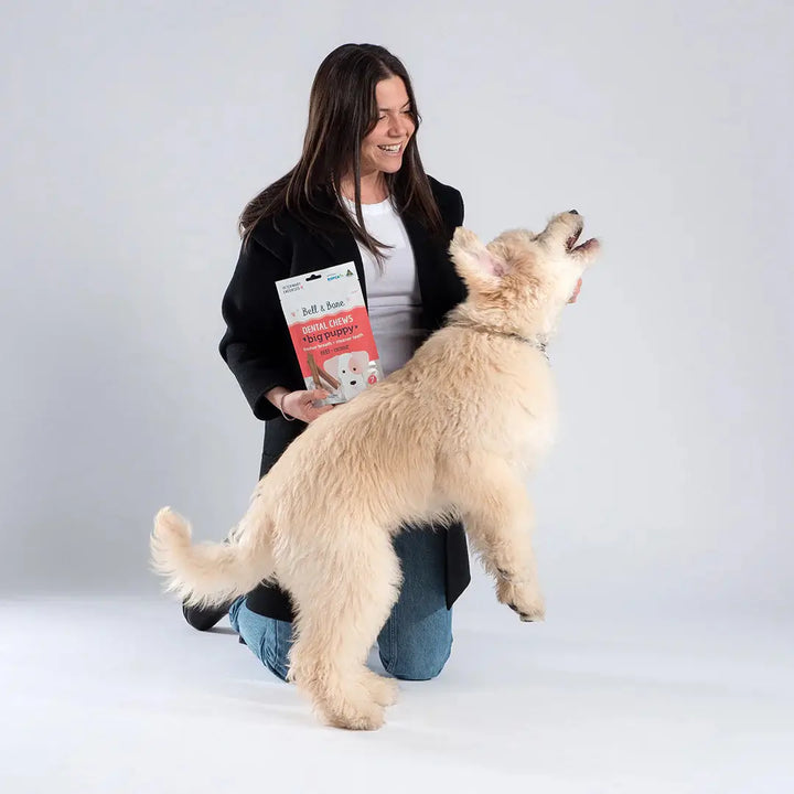 Bell & Bone Puppy Dental Chews in 