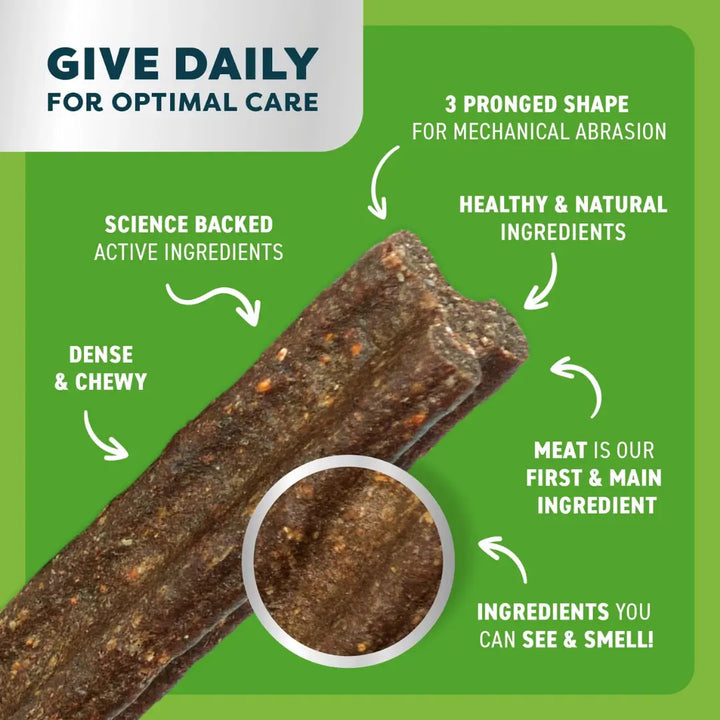 Bell & Bone Senior Dental Sticks Chicken Mint Ginger SM