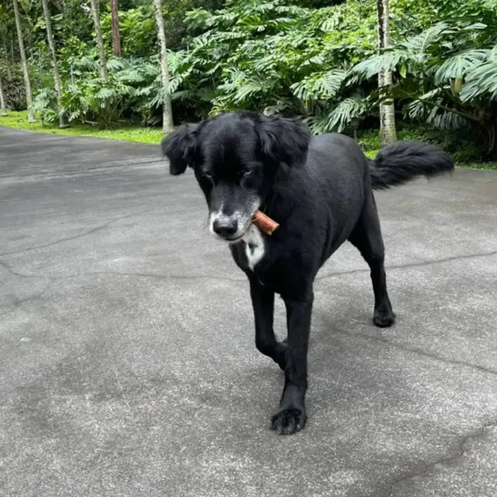 Dog Beef Liver Sticks