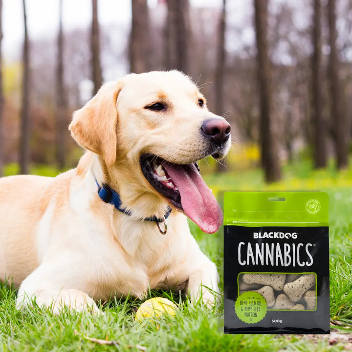 Dog Cannabics 500g