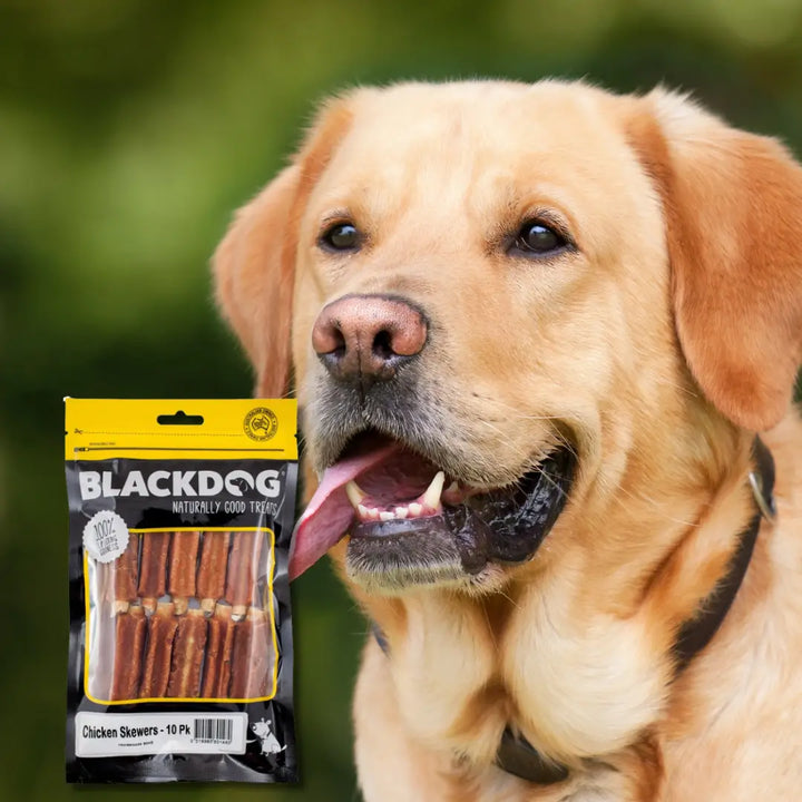 Chicken Skewers 10pk