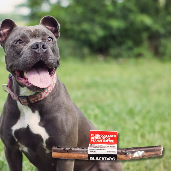 Black Dog Filled Collagen Sticks - Cheese