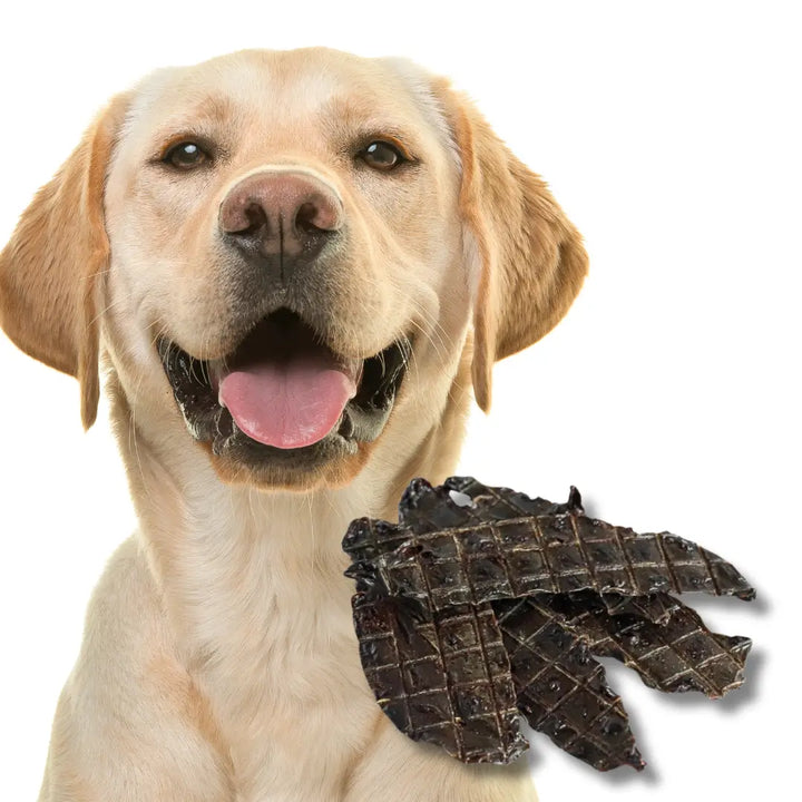 Black Dog Roo Liver 