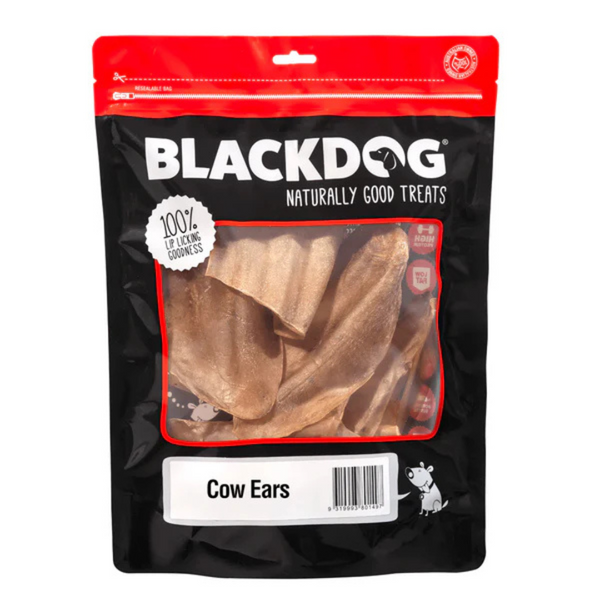 Black Dog Cow Ears