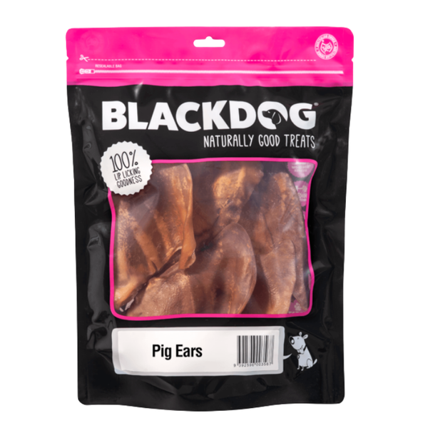 Black Dog Pig Ears