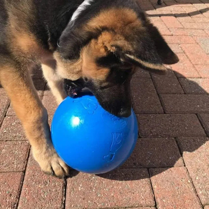 Boomer Ball 10 Inch – Fun Outdoor Ball for Dogs – Pet Bites