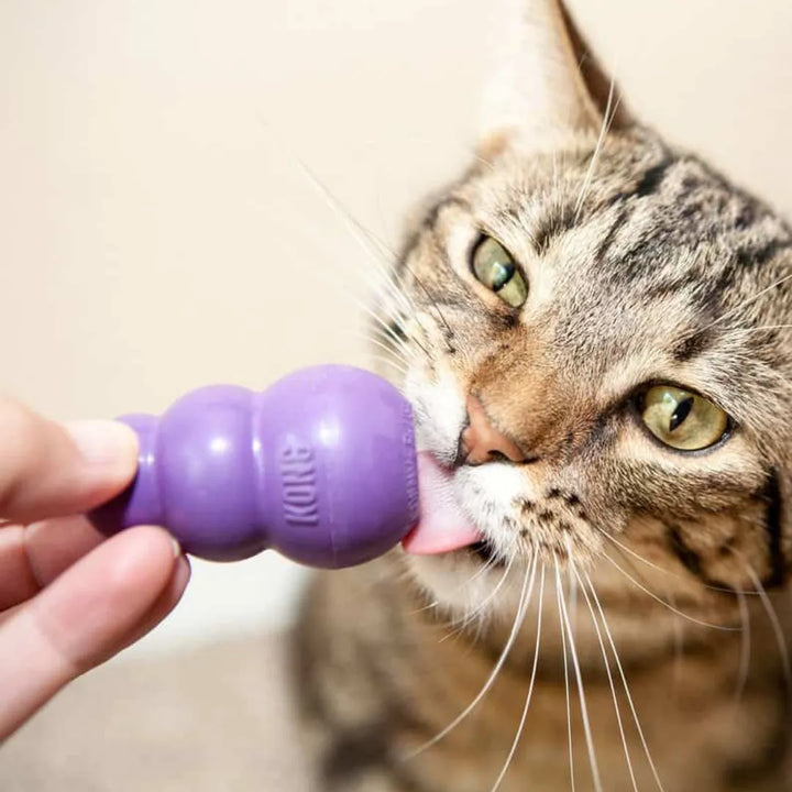 Buy Kong Kitty Cat Toy