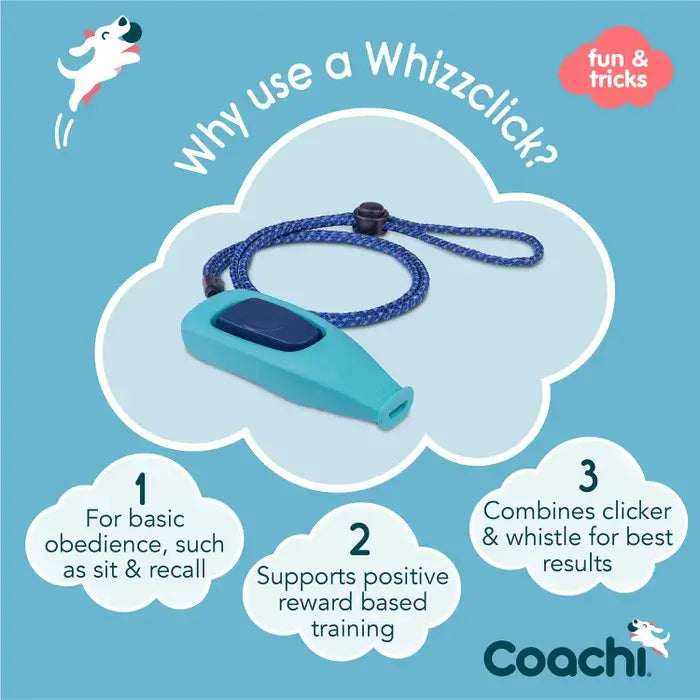 Coachi Whizzclick Navy & Light