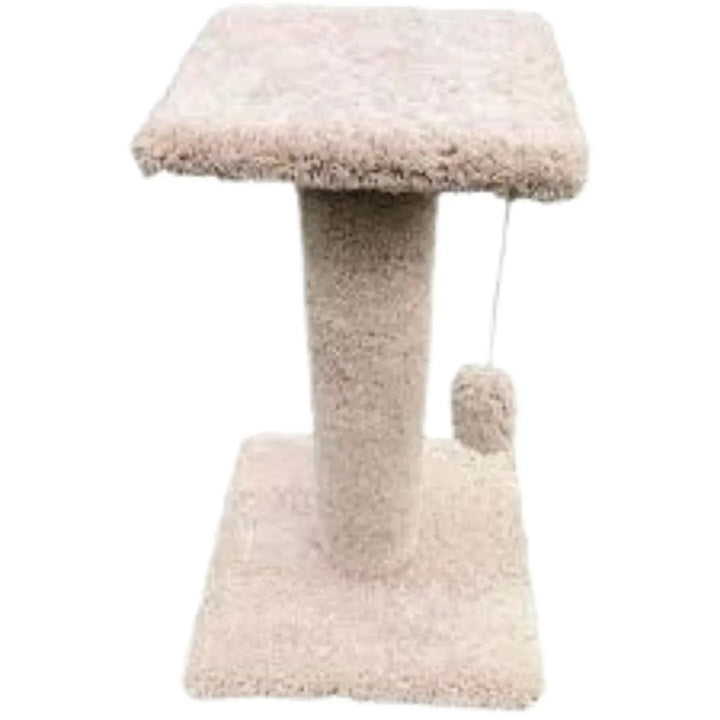 CRAZY CAT SCRATCHER 27