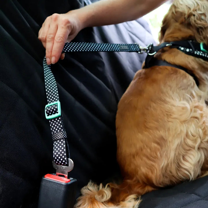 DOOG Car Restraint Pongo – Comfortable