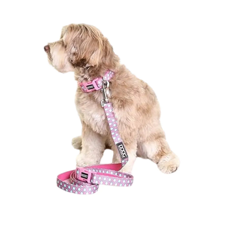 DOOG NEOPRENE DOG COLLAR LUNA 