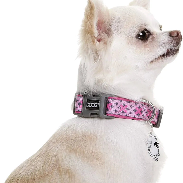 DOOG NEOPRENE DOG COLLAR LUNA