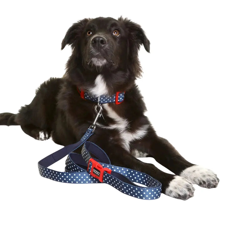 Doog Neoprene Dog Collar Stella
