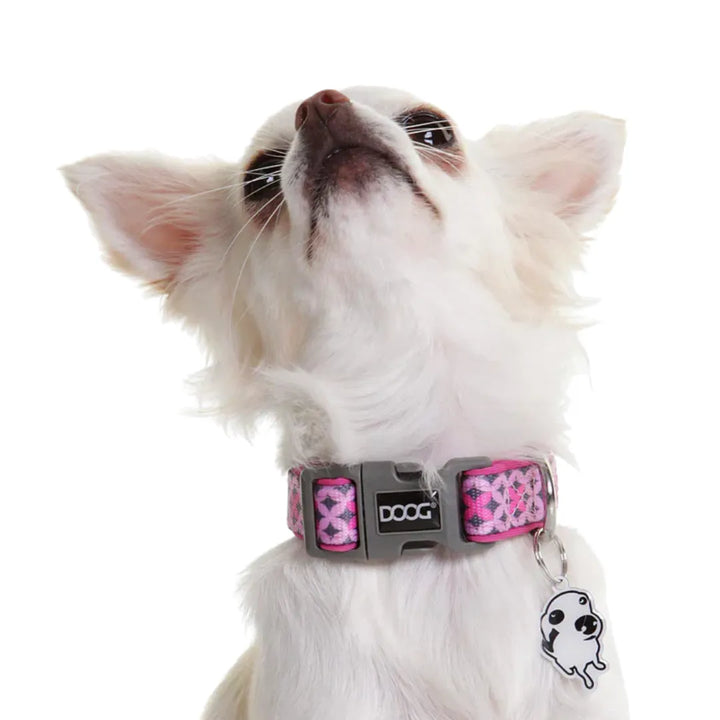 DOOG NEOPRENE DOG COLLAR 