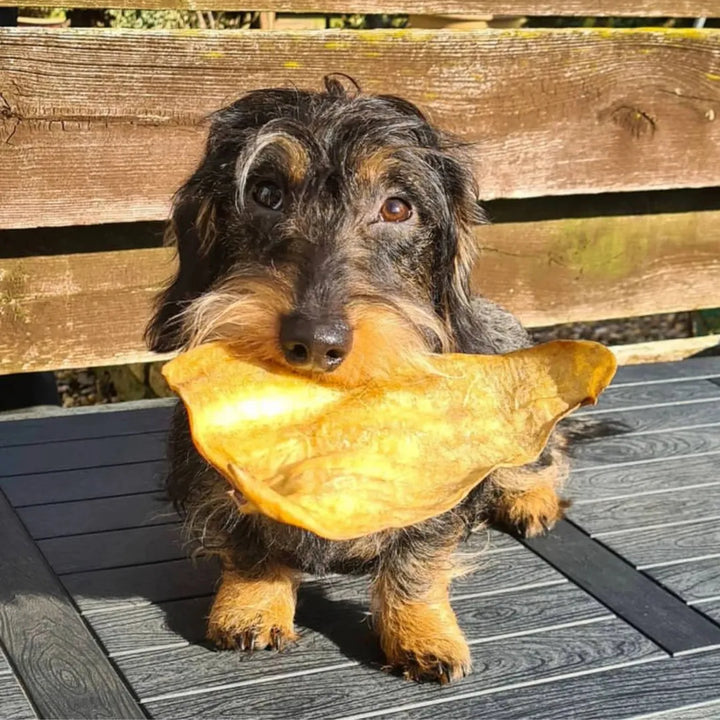 Dried Cow Ears For Dogs - Preservat