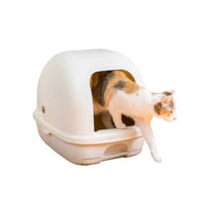 Ezi-Lockodour Dual Layer Cat Litter
