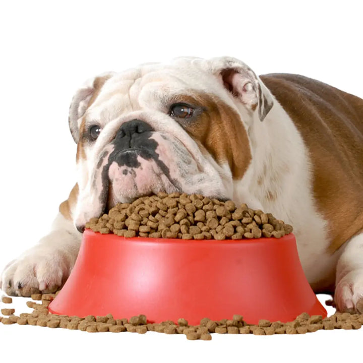 FEEL GOOD DOGGO DIGESTIVE HEALTH