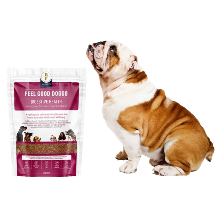 FEEL GOOD DOGGO DIGESTIVE HEALTH