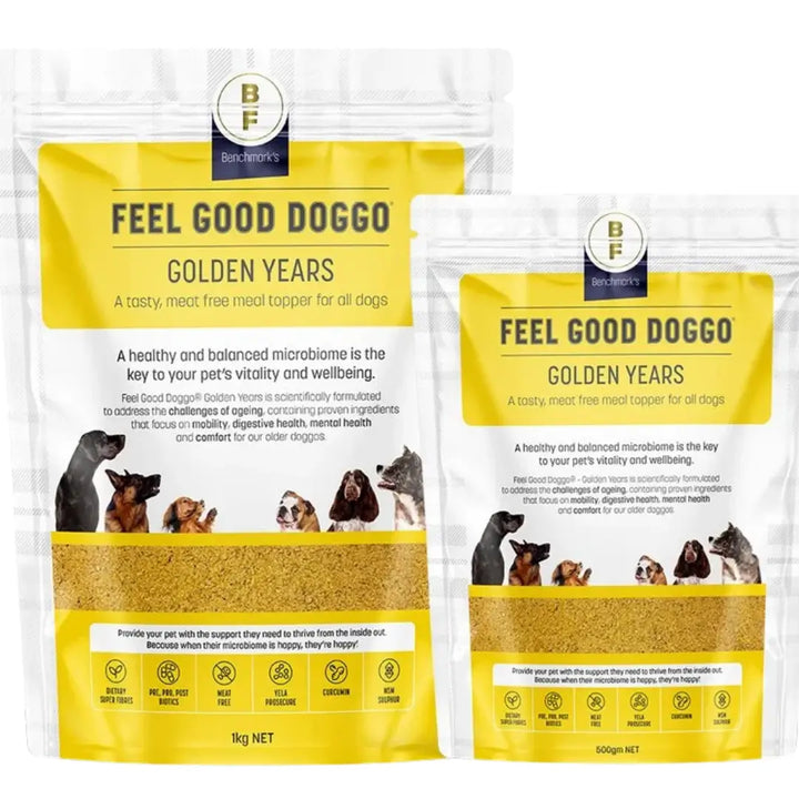 FEEL GOOD DOGGO GOLDEN