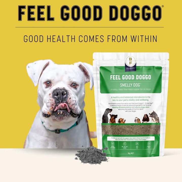 FEEL GOOD DOGGO SMELLY DOG 1KG infor