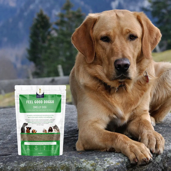 FEEL GOOD DOGGO SMELLY DOG