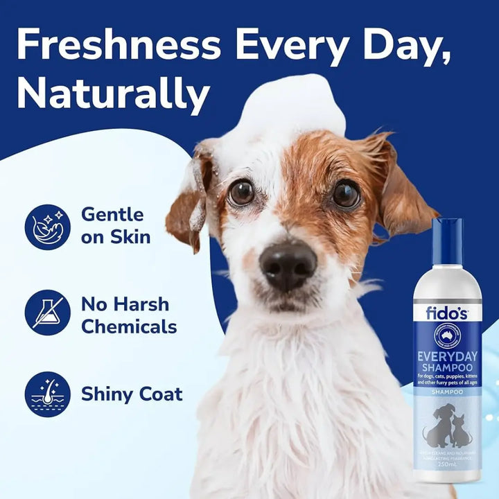 FIDO'S BLACK GLOSS SHAMPOO