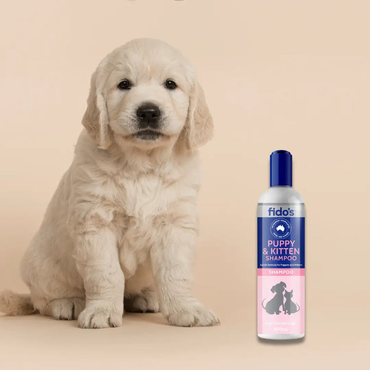 FIDO'S BLACK GLOSS SHAMPOO