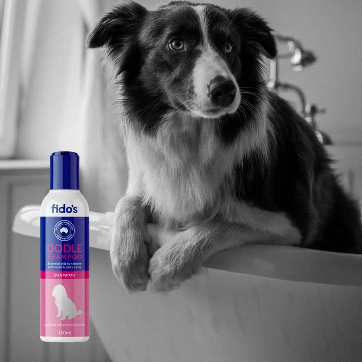 FIDO'S OODLES SHAMPOO