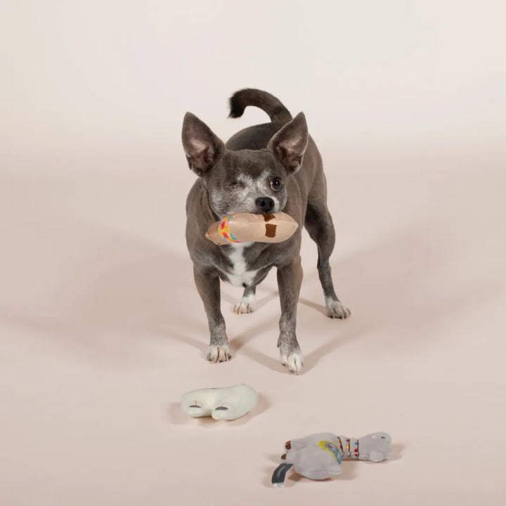 FRINGE STUDIO LLAMA LOVE YOU FOREVER 3PCE