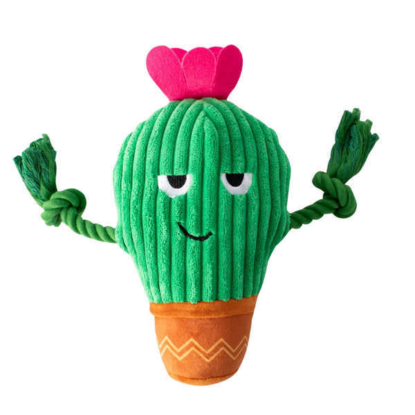 FRINGE STUDIO YOU GROW CHICA CACTUS PLUSH