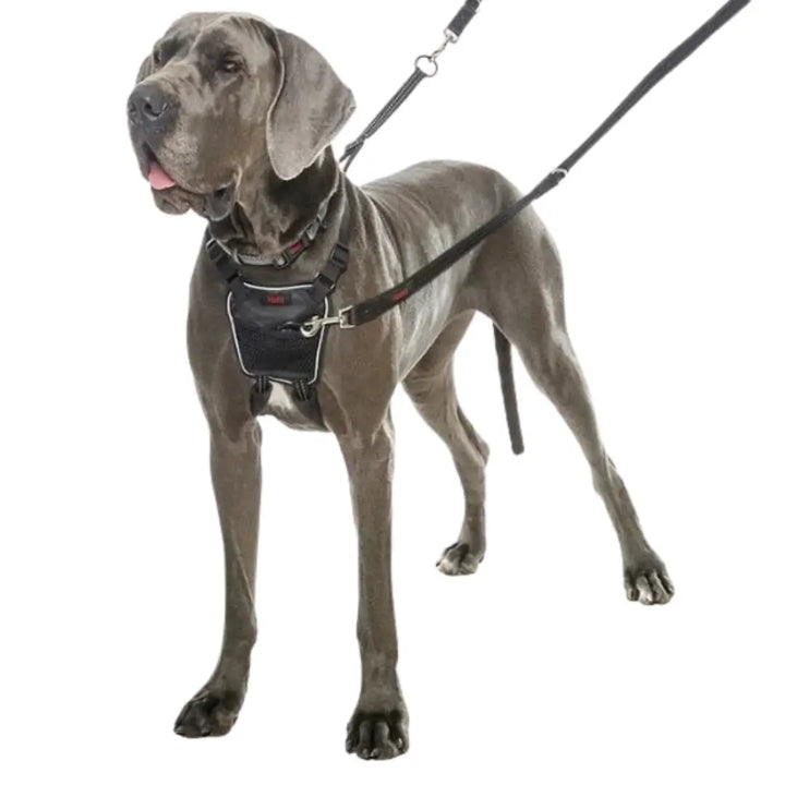 Halti No Pull Harness 