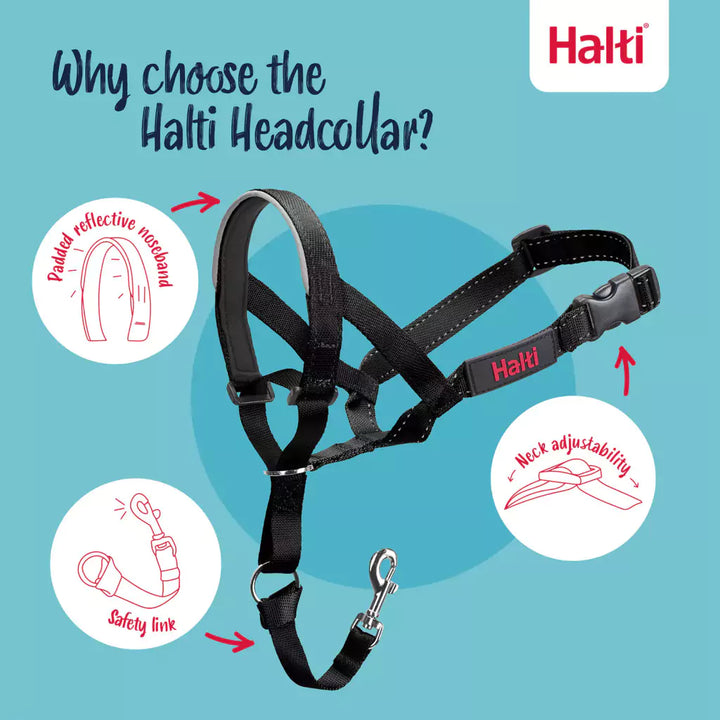 why choose Halti Headcollar