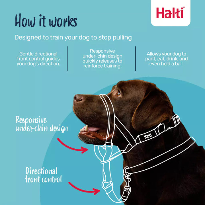 Halti Headcollar in Black Size 3 instructions