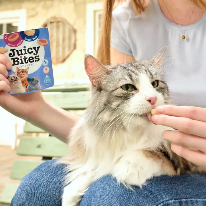 Inaba Cat Juicy Bites Scallop & Crab 34g 6pk 